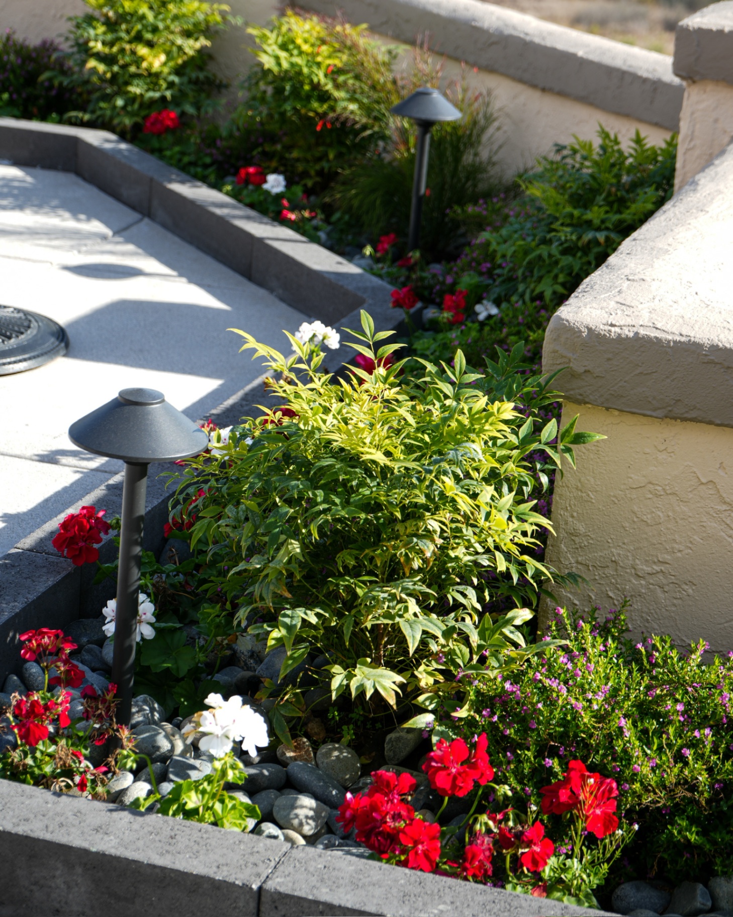 Homeowner reviewing a landscape design plan with a design-build firm in Rayne