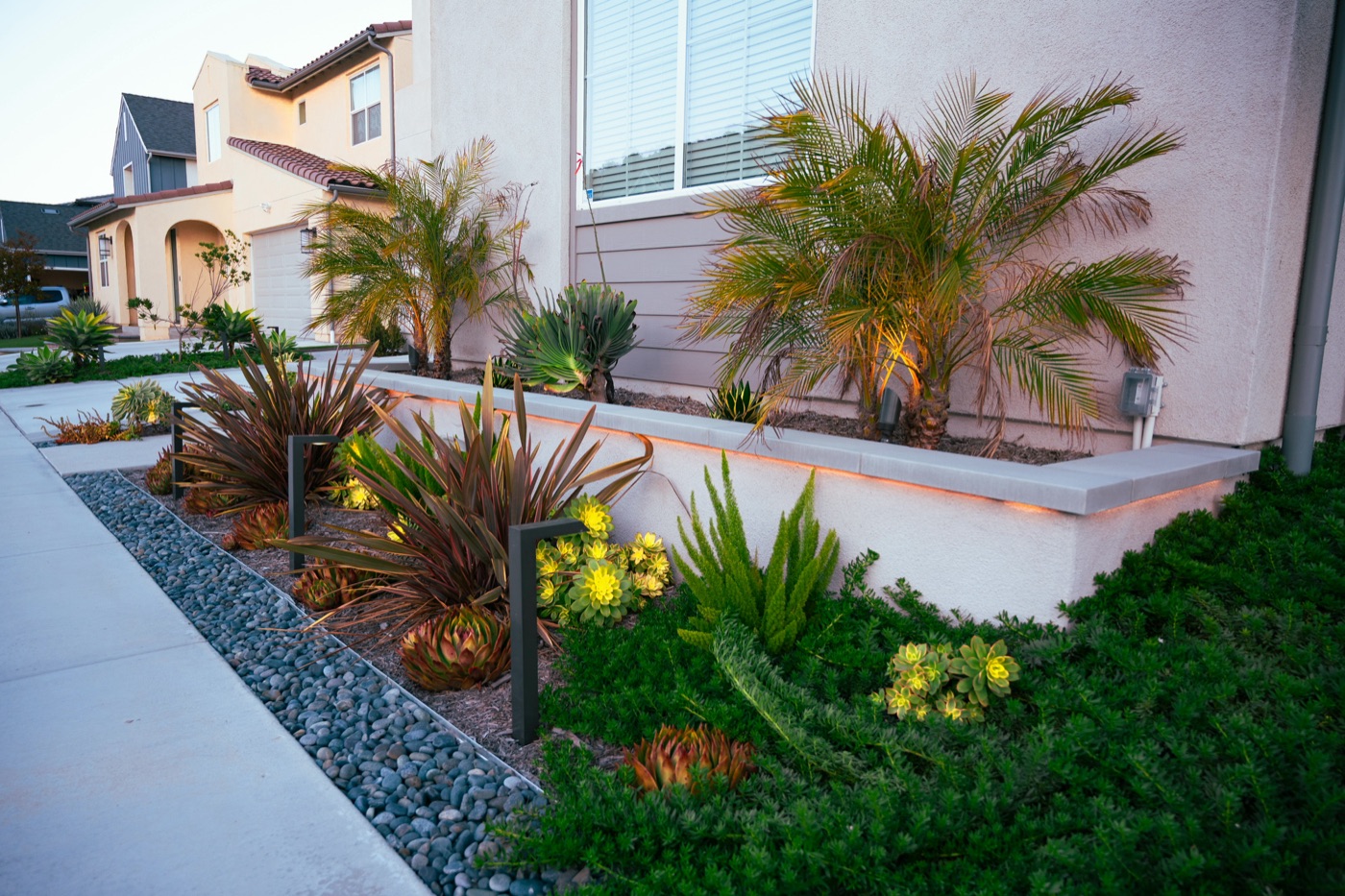 Illuminated front-yard planting with palms in Scott by Abshire Brothers Lawn & Landscape