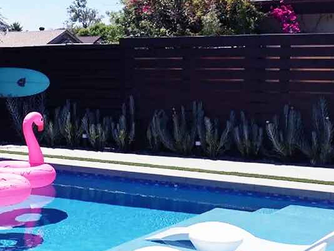 After: Pool Excavation to Finished Backyard
